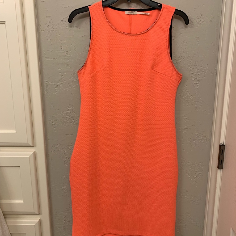 Poetry Dress